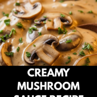 Creamy Mushroom Sauce Recipe