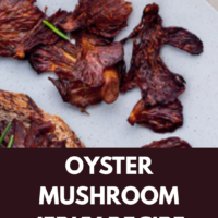 Oyster Mushroom Jerky Recipe